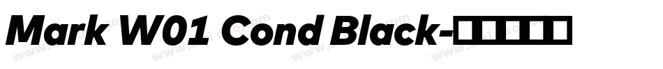 Mark W01 Cond Black字体转换